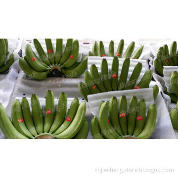 EPE for Banana Packaging Making Machine